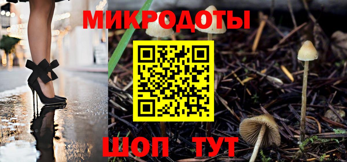 Псилоцибиновые грибы Cubensis Псков
